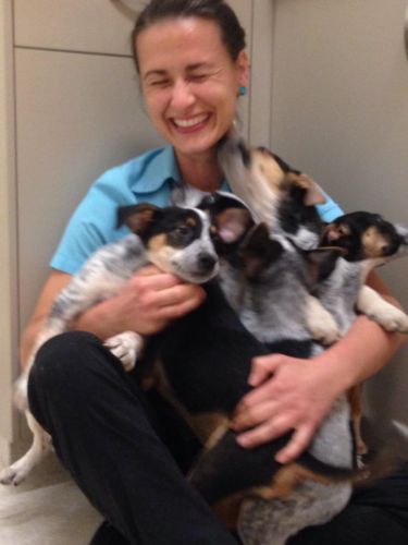 Pacific Vetcare - Australia Private Schools 7