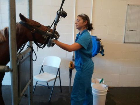 Pacific Vetcare - Australia Private Schools 9