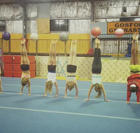 Gosford Gymnastics - School Find