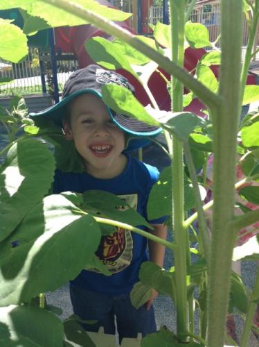 Central Gardens Childcare - School Find 1