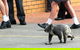 St Philip’s Christian College - thumb 2