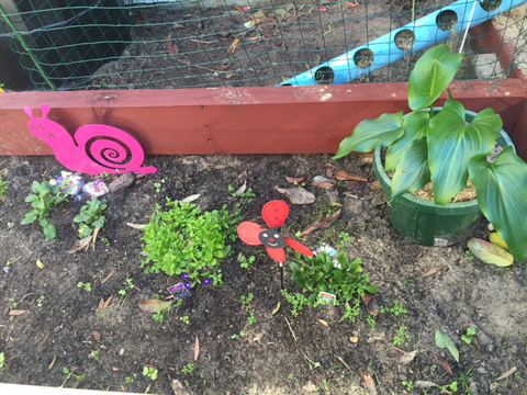 TLC Early Learning Centre - Australia Private Schools 3