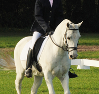 Encantador The Riding School - School Education