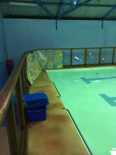 Shane Dowel’s Swim School - School Find 1