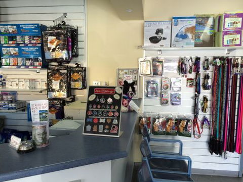 Albion Park Veterinary Hospital - School Find 1