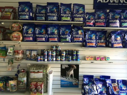 Albion Park Veterinary Hospital - School Find 3