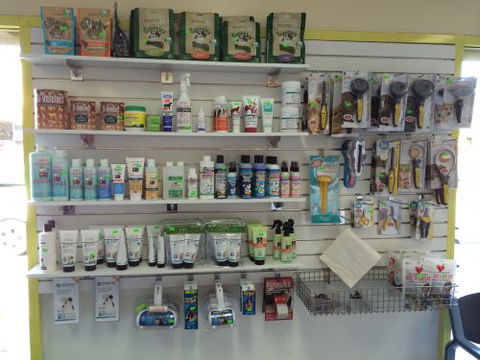 Albion Park Veterinary Hospital - School Find 4