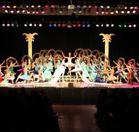 Newcastle Dance Academy - Australia Private Schools