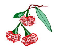 Mudgeeraba Special School - Australia Private Schools 0