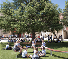 St Columba's Catholic College, Springwood - Australia Private Schools 4