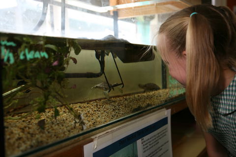 Christ The King Primary School Newcomb - Australia Private Schools 7