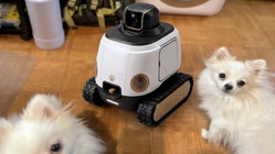 AI robot may stop your dog from barking while you're gone School Education