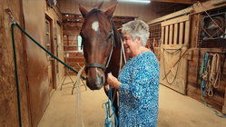 Farmers offering on-site vacation rentals to combat rising costs School Education