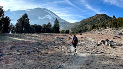 Mount Shasta climber recounts harrowing 500-foot slide, overnight crawl to safety: report School Education