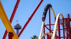 Popular amusement park bans guest for life after roller coaster stunt viral video Australia Private Schools